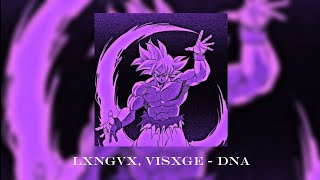 LXNGVX, VISXGE - DNA