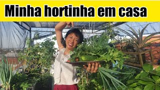 Faça uma Horta em Casa – Em uma Rodada Olha o tanto que Colhi