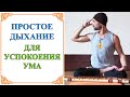 Как остановить поток мыслей | Как успокоить ум | Дмитрий Матвеев