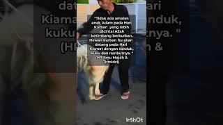 selfreminder  hribnumajah hrtirmidzi kurban harikiamat