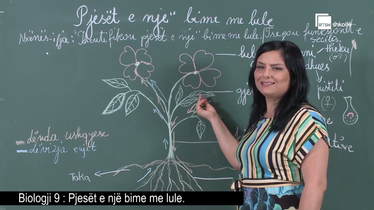 Pjesёt e njё bime me lule | Biologji 9