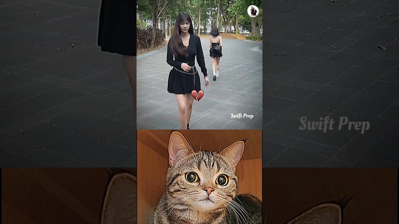 my brain crashed 🤣 