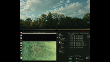 Smart Backpack System for Animal Ecology: Field-Deployable Multimodal Data Infrastructure