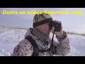 Охота на зайца - Короткие следы