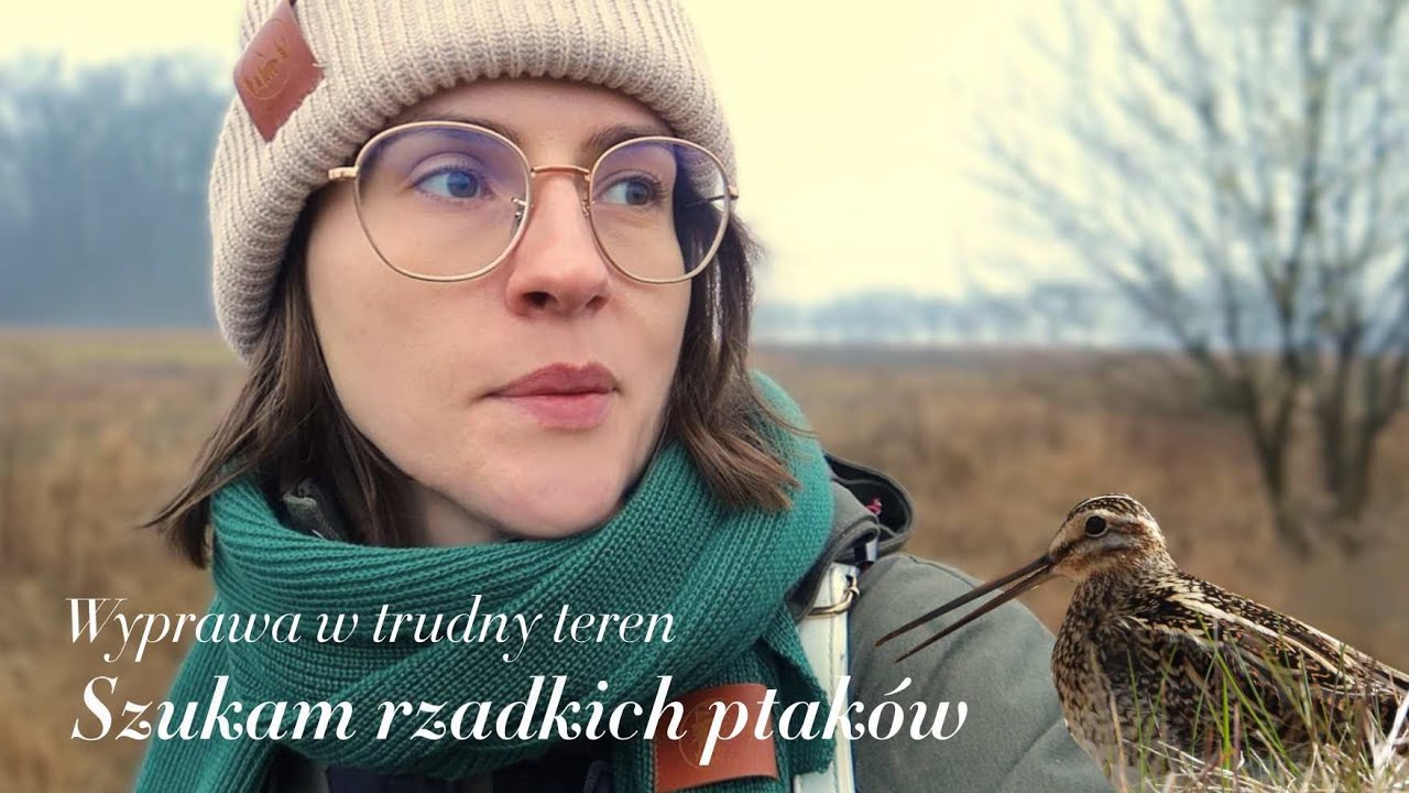 Bagienne szlaki - natura, błoto i przygoda vlog
