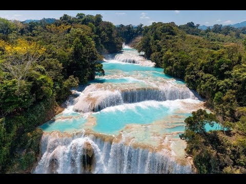 الأفلام الوثائقية دليل البقاء الحلقة 01 الماء العذب