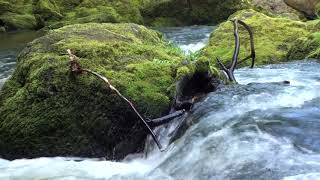 Download Lagu Das Lied Mose MP3