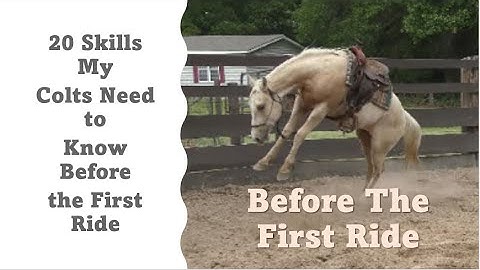 Before the First Ride - 20 Skills I Want My Colts to Know  - Part 2