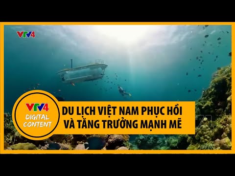 Du lịch Việt Nam phục hồi và tăng trưởng mạnh mẽ | VTV4