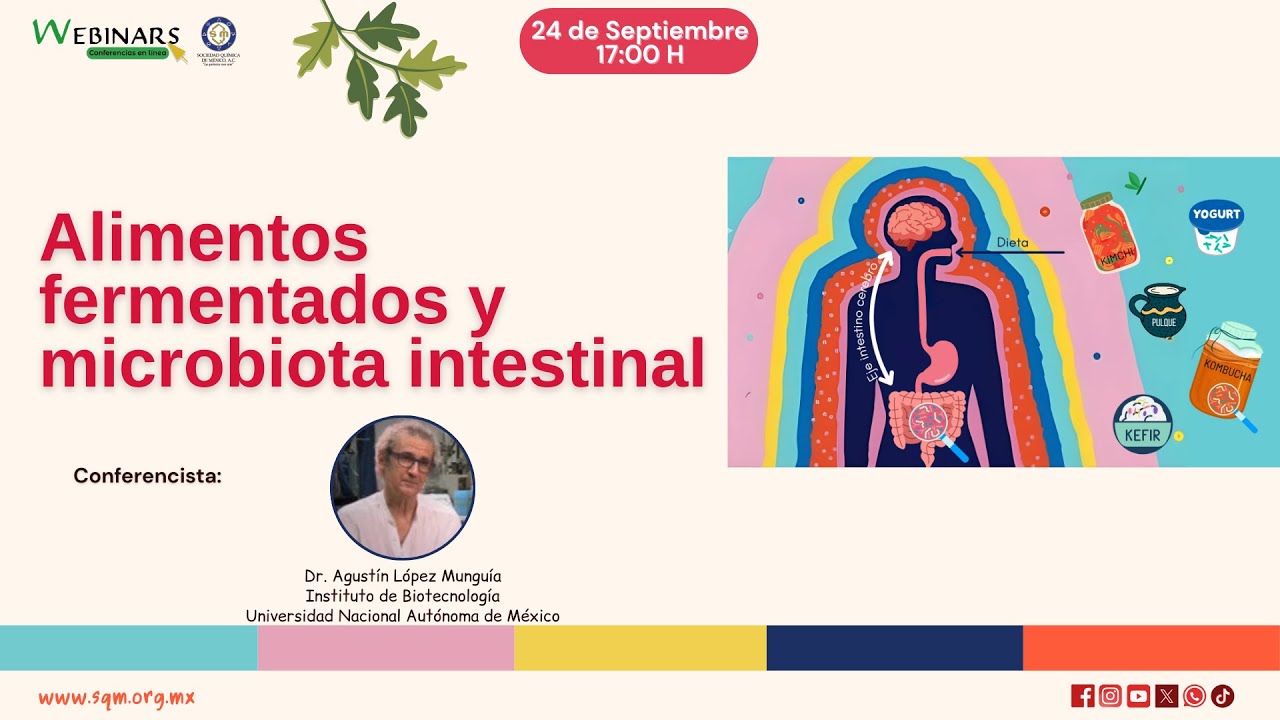 Webinar. Alimentos fermentados y microbiota intestinal