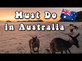 WORKING HOLIDAY IN AUSTRALIA VLOG 🇦🇺🐍 // Weekend in my life in Cape Hillsborough National Park