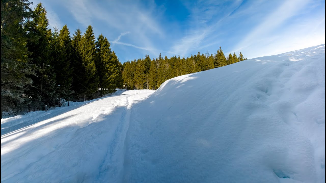 Balade au Pré de Rolle