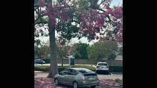 Gas Station Sushi Death Of An It Worker