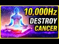 Say goodbye to cancer cells 10000hz 528hz 432hz healing frequency music