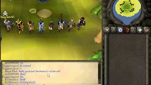 rs3server admin party all admins