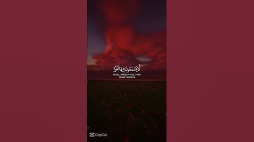 أرح قلبك في أقل من دقيقة ... القارئ #أحمد_نفيس #قرآن