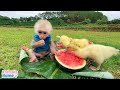 BiBi monkey plays friendly with poodle and ducks