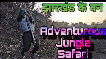 Jharnakund Adventurous Jungle Safari || Koderma ||Gautam Buddha Sanctuary || 5:30am winter