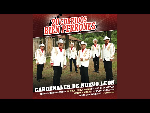 Cardenales De Nuevo León - Asesino A Sueldo