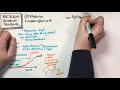 Bacterial quorum sensing