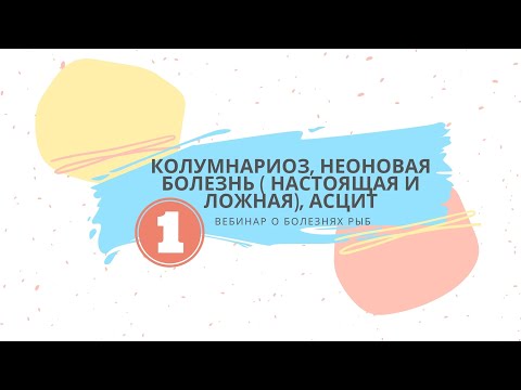 Вебинар №1  о болезнях рыб.