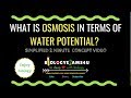 Osmosis and Water Potential Explained Through Real-Life Examples