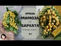 Мастер-класс Брошь Мимоза. Мимоза своими руками из бархата.