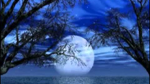 ناصر القطامي سورة الممتحنه كامله YouTube