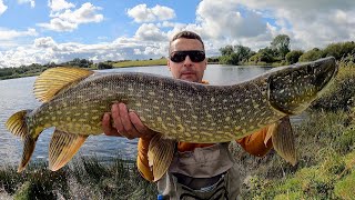 How to catch big pike on dead baits | Beautiful Irish Pike