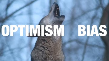 Maksim Snow - optimism bias (official music video)