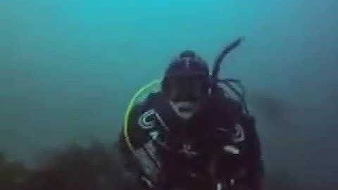 The Ruby E. ship wreck in San Diego