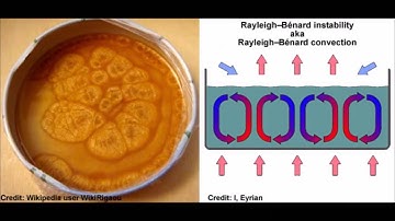 Tornadoes as a Dissipative System