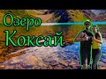 ОЗЕРО КОКСАЙ. АКСУ-ЖАБАГЛИНСКИЙ ЗАПОВЕДНИК и орешки Big Bob