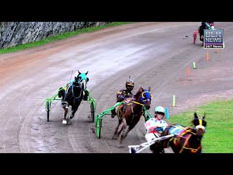 Driving Horse & Pony Club of Bermuda Champion of Champions Event, March 10 2024