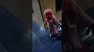AL HAMDULILLAAH BOCIL SAMPUN BA'DO LATIHAN JAMA AH SHOLAT ISYAK BOLO