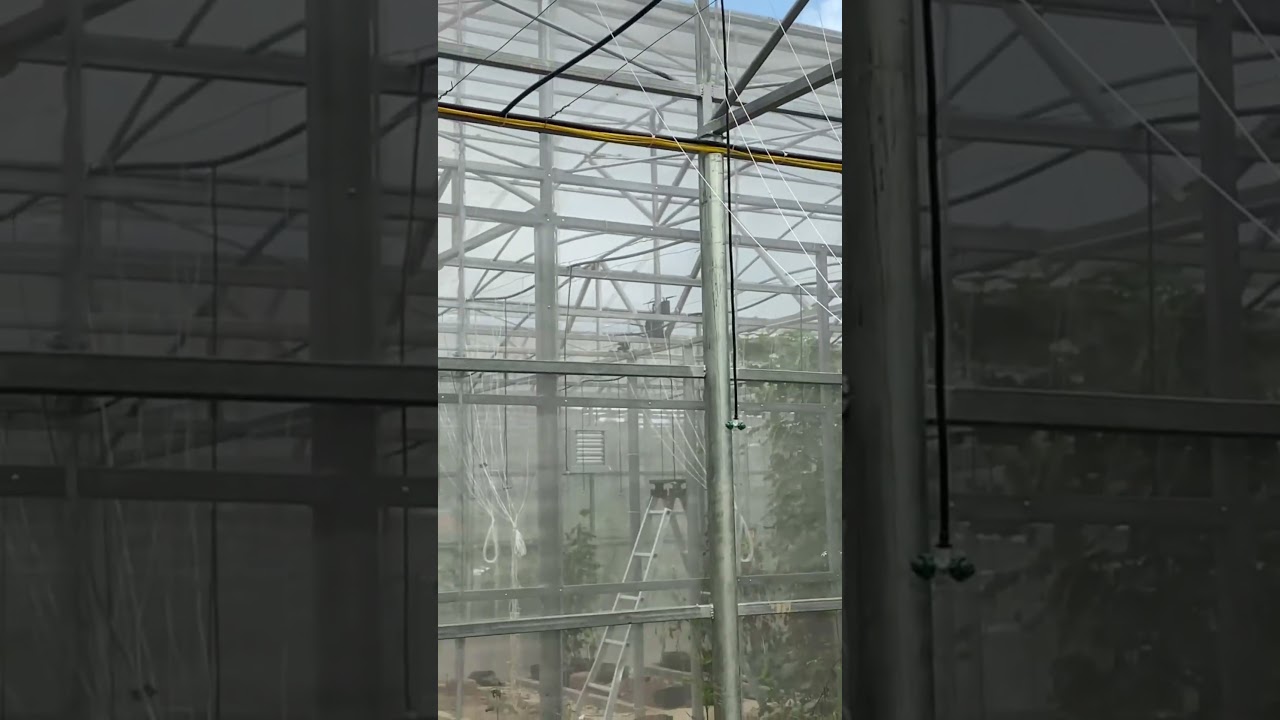 Hệ thống cảm biến nhà kính nông nghiệp