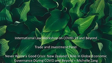 NZs Role in Global Economic Governance During COVI...