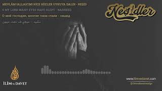 Gözler Uykuya Daldı | مولاي قد نامت عيون  | Neşid Hanem