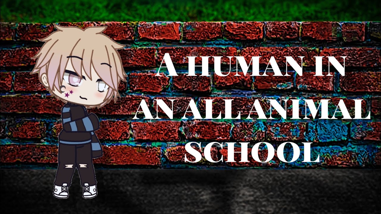 A human in an all animal school ~ gay love story ~