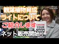 観葉植物　育成ライト　紹介　ネット販売【おうちでグリーン】【おうちでガーデニング】開花園チャンネル