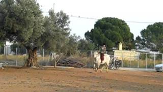 MVI_1529.AVI