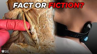 How Your Vagus Nerve REALLY Controls Your Body