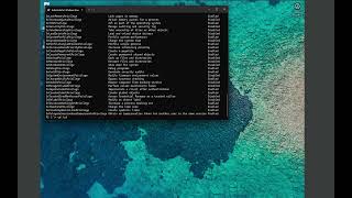 RevoUninstaller Kernel Pool Overflow LPE Demo