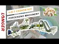 Daily 520 t cashew nut processing machinery plant automatic