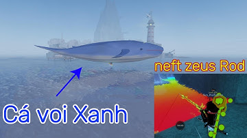 Fisch Tổng hợp Cập Nhật Cá Voi Xanh  - Roblox - thái Sunboy