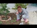 KÖY EVİNDE ÜZÜNTÜLERİ HEPBERABER ATLATACAĞIZ/DÜNYA BİR HİÇ/KÖYDE YAŞAM