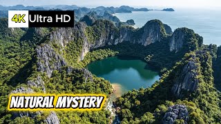 Nature Formed After The Apocalypse | 4K Ultra | Decoding The Cosmos