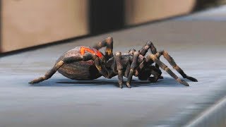 How Miles Morales Got His Powers - Marvels Spider-Man