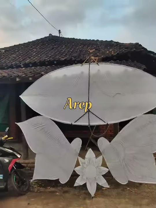 Story wa versi layangan terbesar Versi bad liar