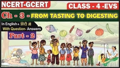 From Tasting To Digesting II NCERT Class 5 EVS Ch 3 II Part 2 II @Pratibha Jadhav ​